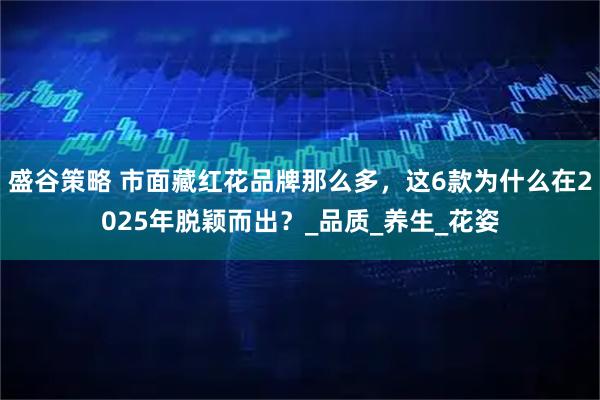 盛谷策略 市面藏红花品牌那么多，这6款为什么在2025年脱颖而出？_品质_养生_花姿